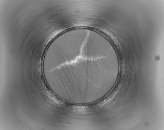 X0000093741121200711131055