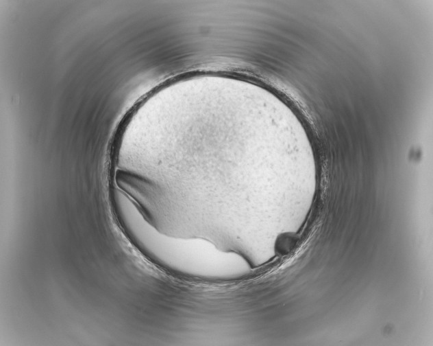 X0000093741122200711131055