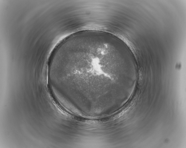 X0000093741123200711131055