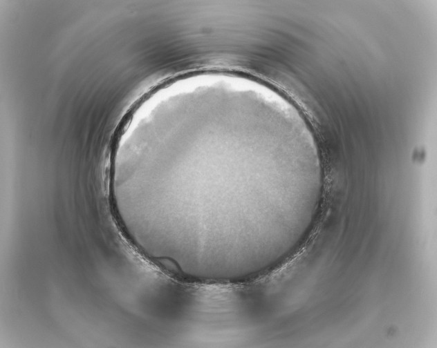 X0000093741126200711131055
