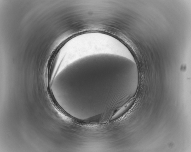 X0000093741127200711131055