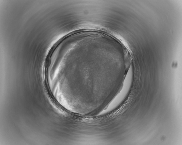 X0000093741128200711131055