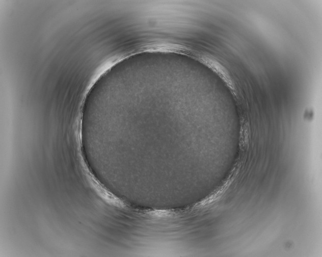 X0000093741130200711131055