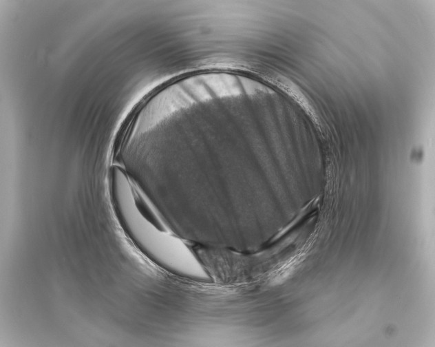 X0000093741132200711131055