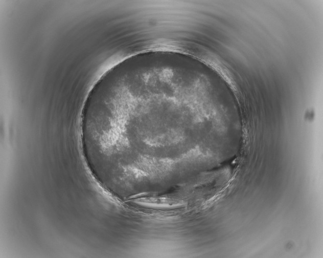 X0000093741133200711131055