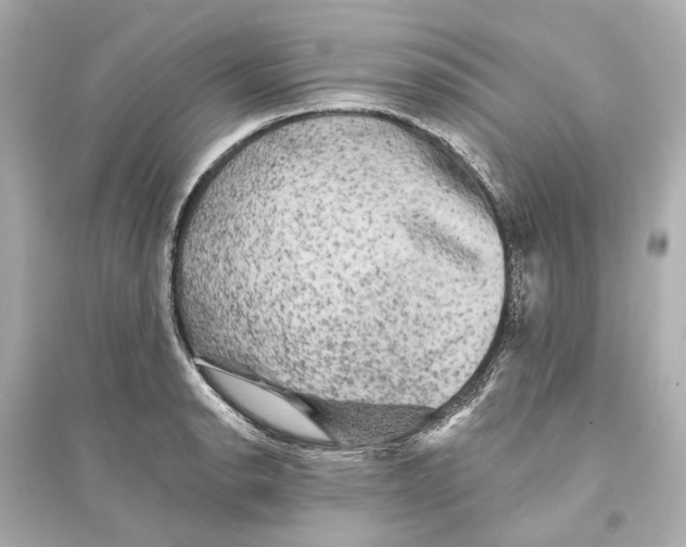 X0000093741134200711131055