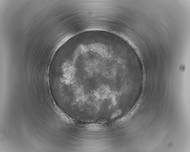 X0000093741137200711131055