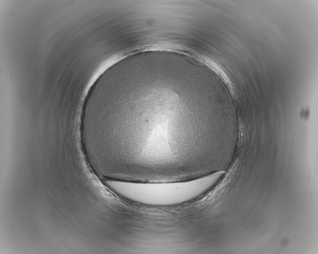 X0000093741138200711131055