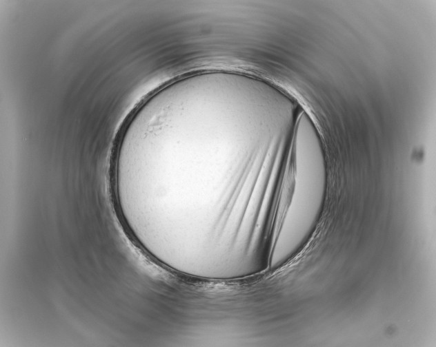 X0000093741139200711131055