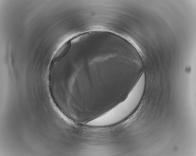 X0000093741142200711131055