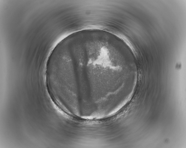 X0000093741143200711131055