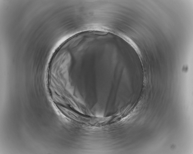 X0000093741144200711131055