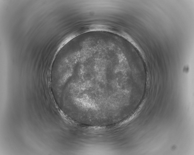 X0000093741145200711131055