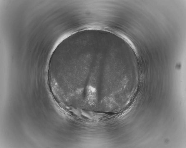 X0000093741146200711131055