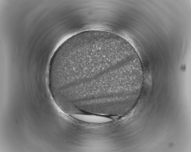 X0000093741147200711131055
