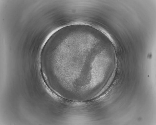 X0000093741148200711131055