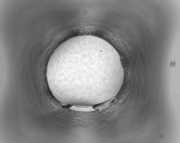 X0000093741153200711131055