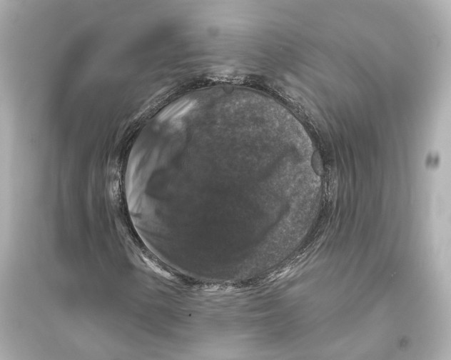 X0000093741154200711131055