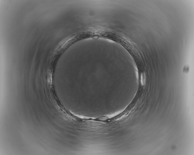 X0000093741155200711131055