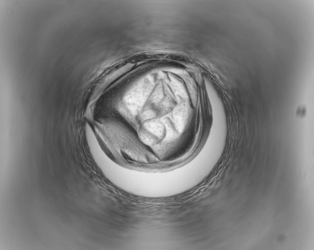 X0000093741157200711131055
