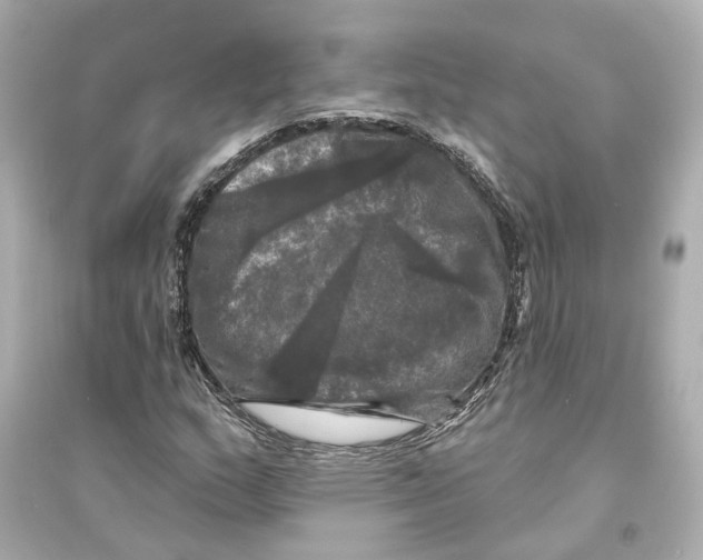 X0000093741159200711131055