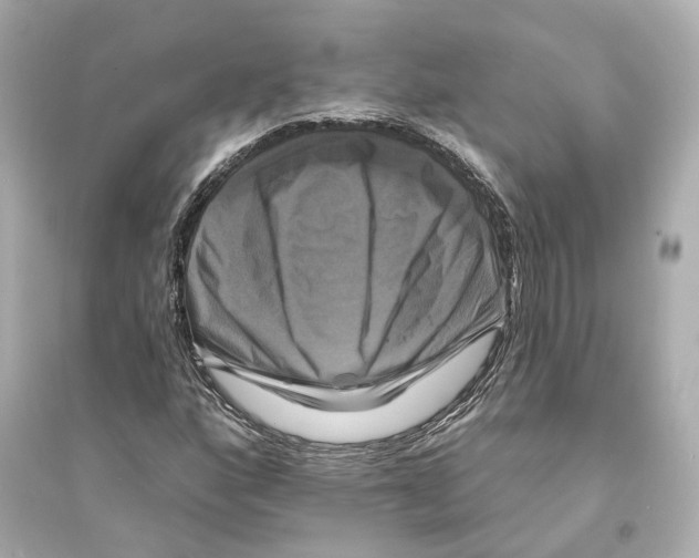 X0000093741160200711131055