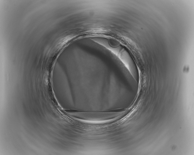 X0000093741161200711131055