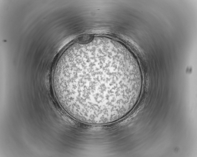 X0000093741162200711131055