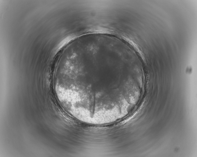 X0000093741163200711131055