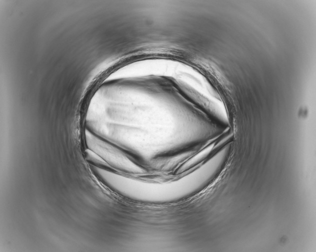 X0000093741164200711131055