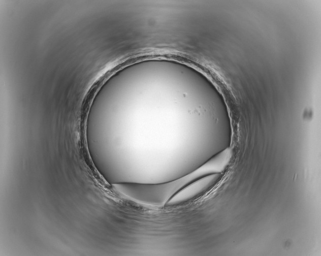 X0000093741165200711131055