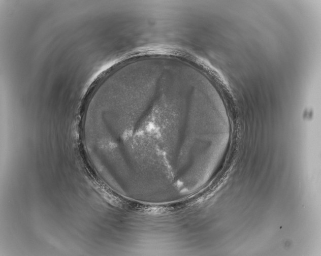 X0000093741166200711131055