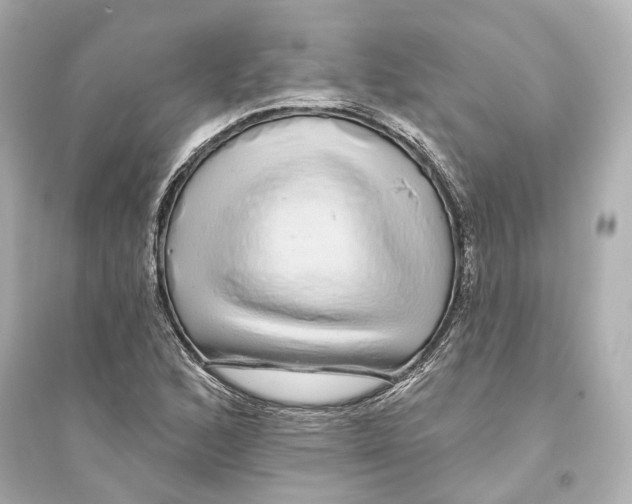 X0000093741168200711131055