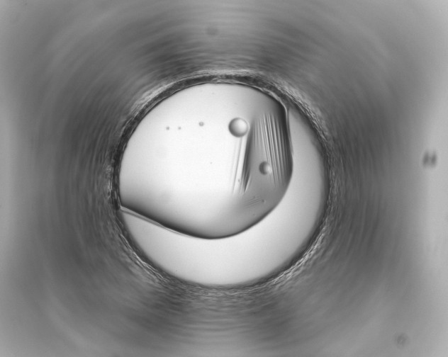 X0000093741169200711131055