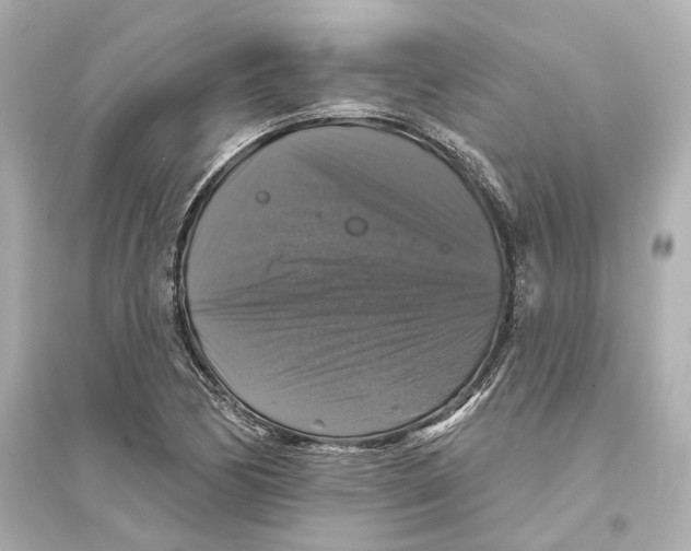 X0000093741170200711131055