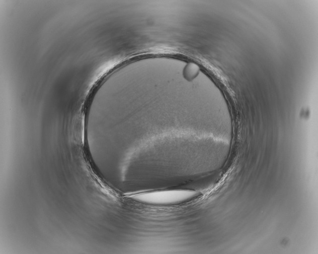 X0000093741171200711131055