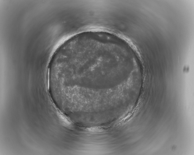 X0000093741175200711131054