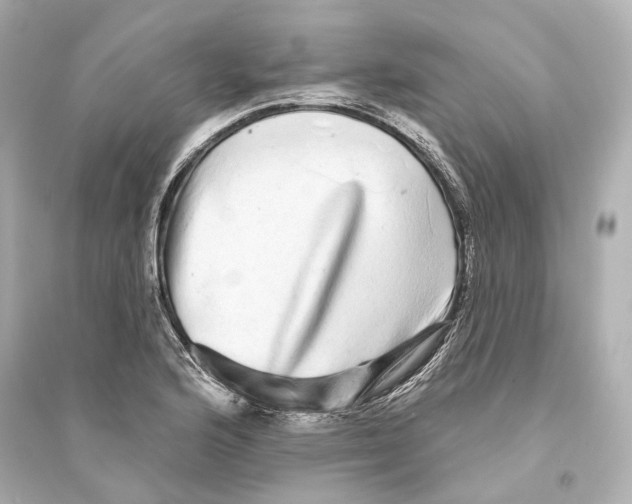 X0000093741176200711131054