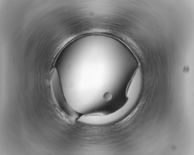 X0000093741177200711131054