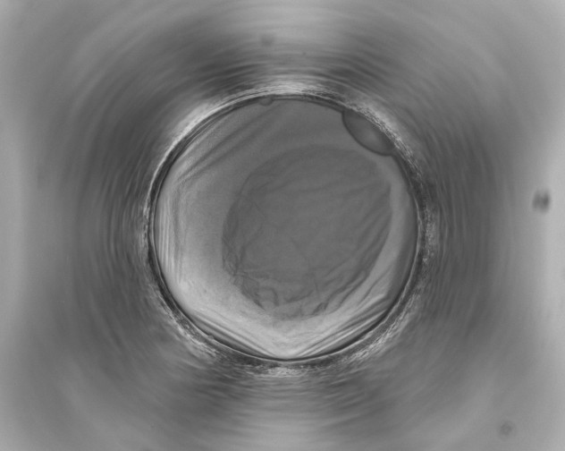 X0000093741178200711131054