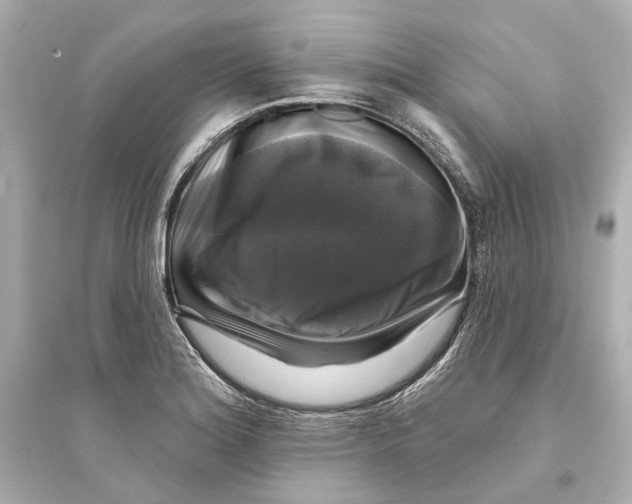 X0000093741180200711131054