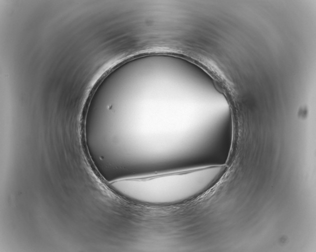 X0000093741181200711131054