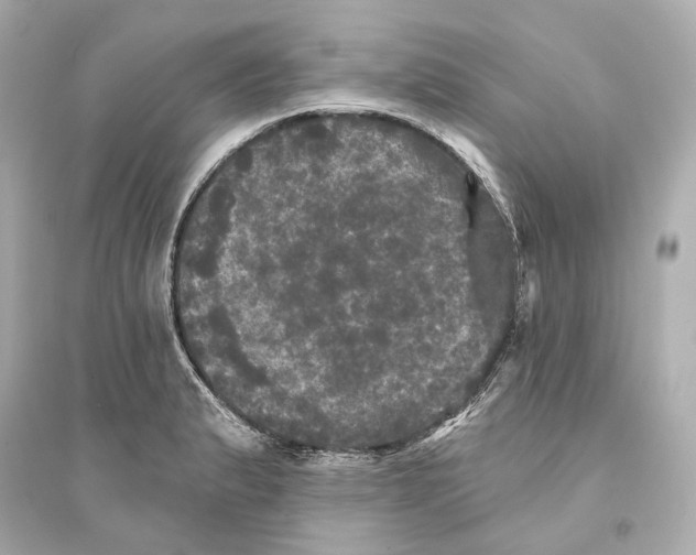 X0000093741183200711131054