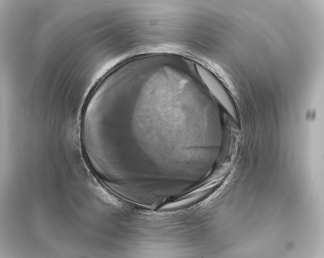 X0000093741184200711131054