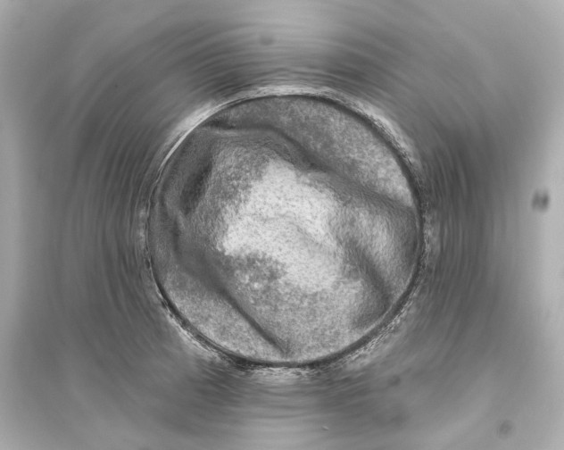 X0000093741185200711131054