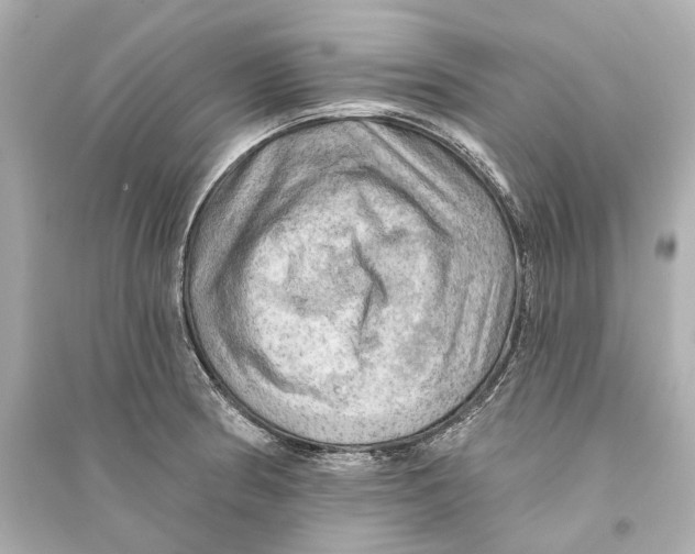 X0000093741186200711131054