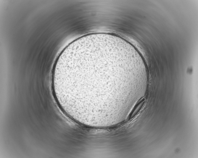 X0000093741187200711131054