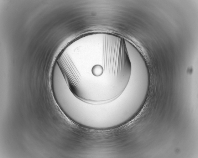 X0000093741188200711131054