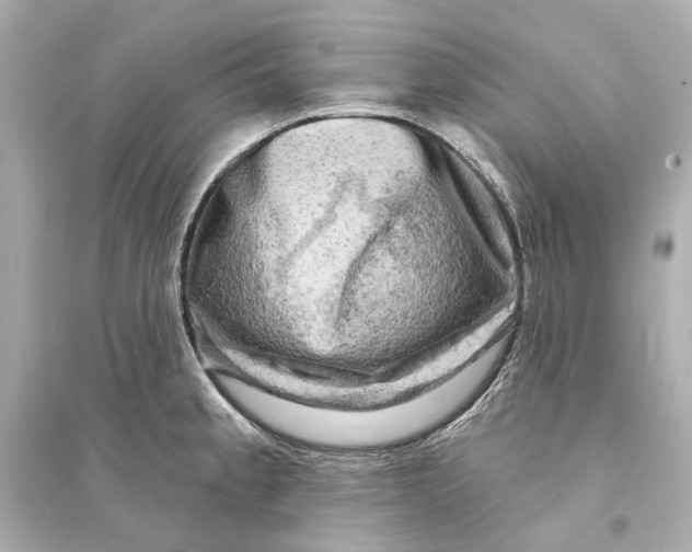 X0000093741189200711131054