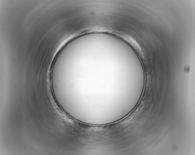 X0000093741190200711131054